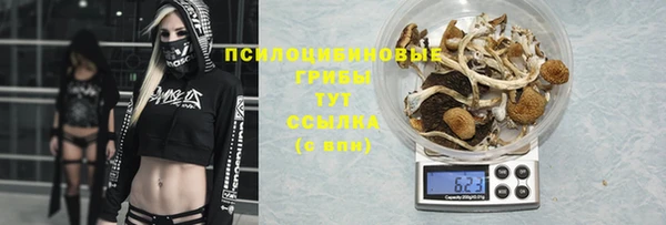 стафф Вязники